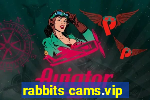 rabbits cams.vip